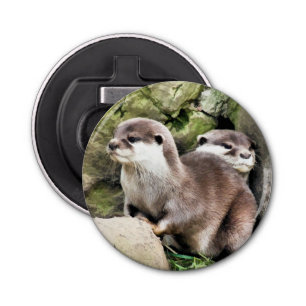DÉCAPSULEUR OTTERS