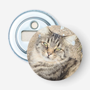 Décapsuleur Ouverture de la bouteille de chat Tabby gris