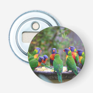 Décapsuleur Parrots colorés Arc-en-ciel Lorikeet Manger