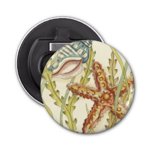 Décapsuleur Partie Shell multicolore