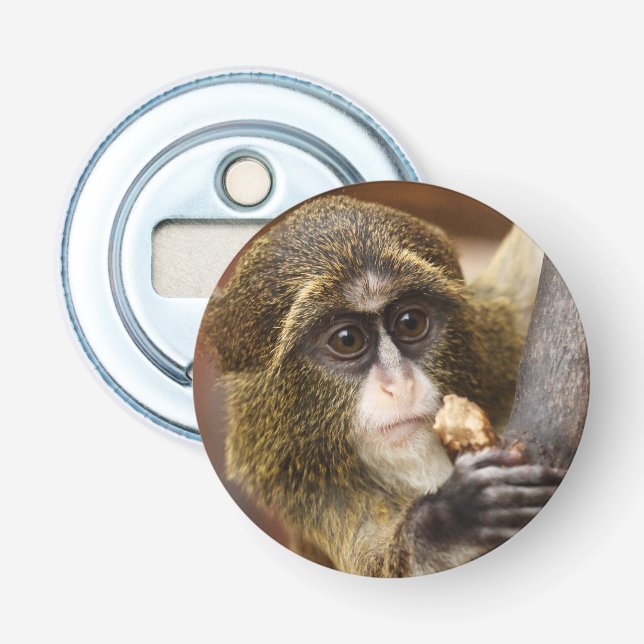 Décapsuleur Photo de l'arbre de l'Escalade singe (Devant)