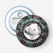 Photo de Shamrocks verts de chien blanc mignon