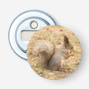 Décapsuleur Photo d'un écureuil mignon mangeant une noix