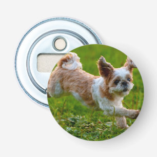 Décapsuleur Photo mignonne tournant Chien Shih Tzu