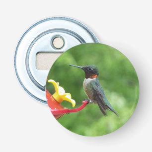 Décapsuleur Photographie d'oiseau Colibri à gorge rubis