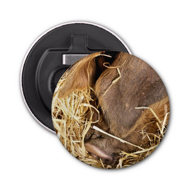 DÉCAPSULEUR PIG (Devant)