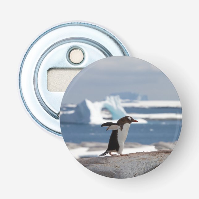 Décapsuleur Pingouin devant une arche de glace (Devant)