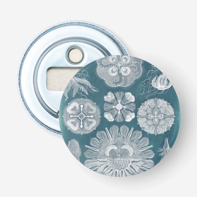 Décapsuleur Plan directeur de la vie marine IV (Devant)