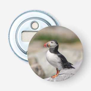 Décapsuleur Puffin Atlantique en Machias, Maine