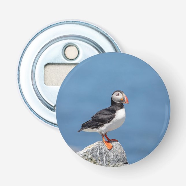 Décapsuleur Puffin de l'Atlantique au Machias, Maine (Devant)