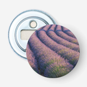 Décapsuleur Rangs de lavande en Provence