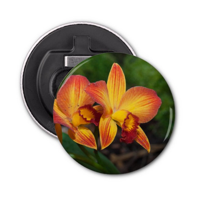 Décapsuleur Rhyncattleanthe Love Tapestry (Devant)