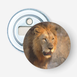 Décapsuleur Roi de jungle