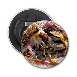 DÉCAPSULEUR SEAWEED