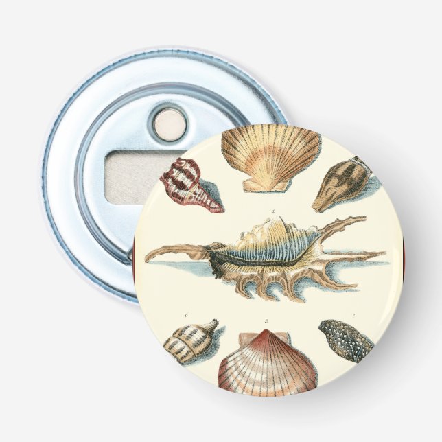 Décapsuleur Shell de fantaisie échouent (Devant)