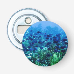 Décapsuleur Shoal of Blue Discus Fish Underwater Photo