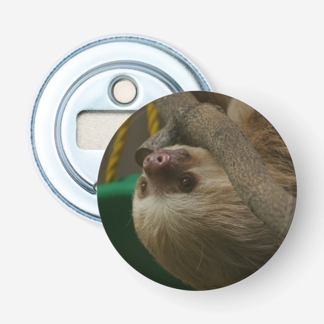 Décapsuleur Sloth (Devant)