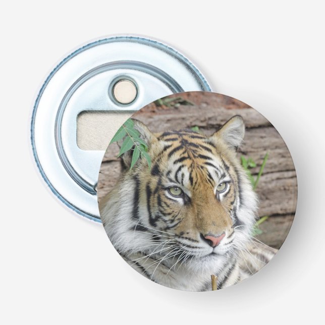 Décapsuleur Tiger_002 (Devant)