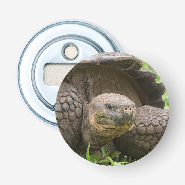 Décapsuleur Tortue géante (Devant)