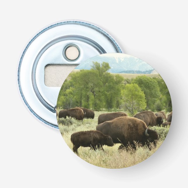 Décapsuleur Wyoming Bison Nature Animal Photographie (Devant)