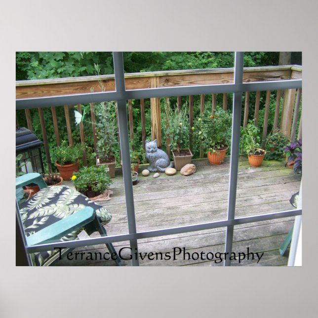 Deck Cat In Window Poster (Vorne)