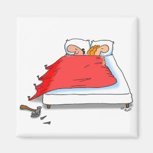 Decke pull.mag magnet