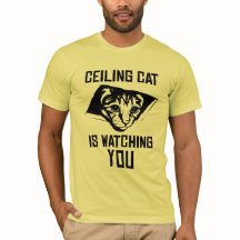 Decken-Katze passt SIE auf!