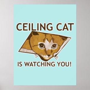 Deckenkatzenplakat Poster