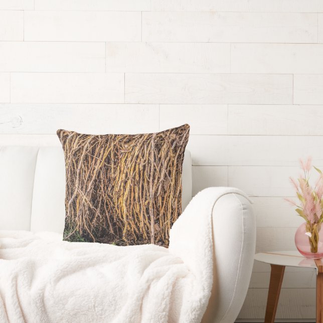 Déclassé 5 dans un oreiller à lancer de série (Canapé)