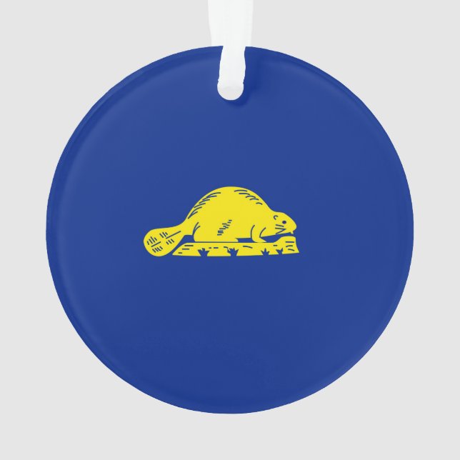 Décor design du drapeau de l'État de l'Oregon (dos)