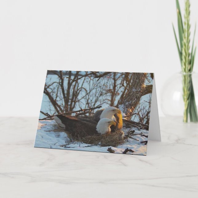 Decorah Nest Nord Weihnachtskarte Karte (Vorderseite)