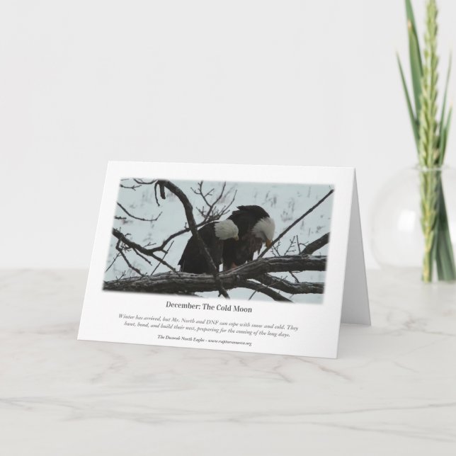Decorah North Eagles: Der kalte Mond Karte (Rückseite)