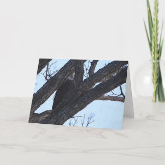 Decorah North Eagles: Der Wolf Moon Karte