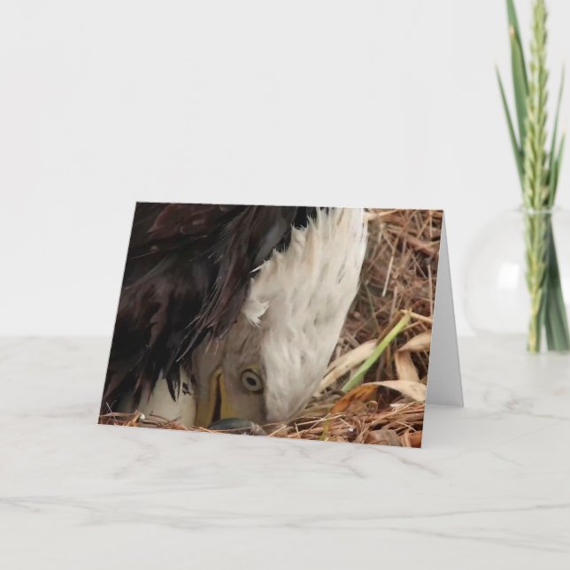 Decorah North Eagles: Der Wurmmond Karte (Vorderseite)