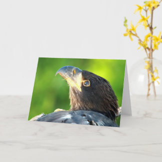 Decorah North Eagles: Die Blume Mond Karte