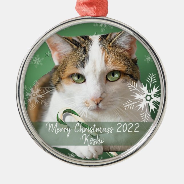 décoration de Noël en métal de chat (Devant)