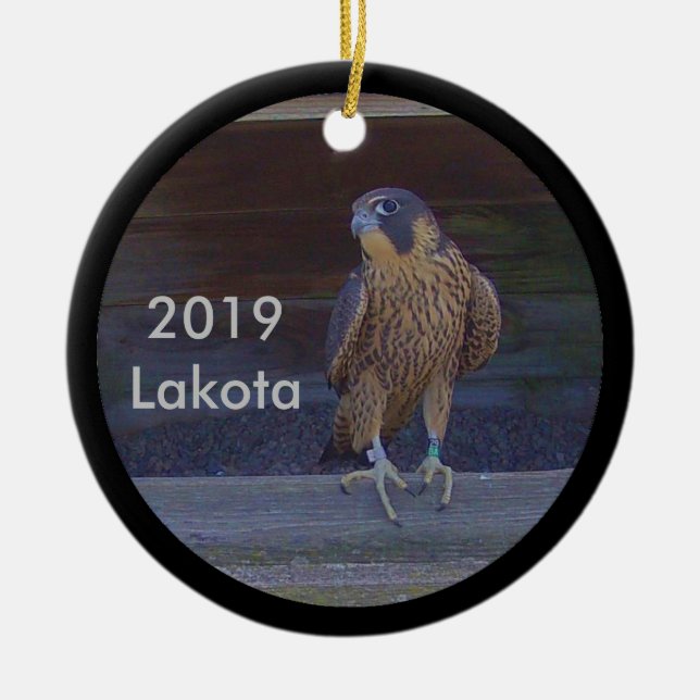 Décoration En Céramique 2019 Céramique Ornament Lakota (Devant)