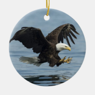 Décoration En Céramique Aigle en approche