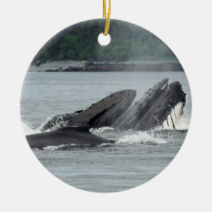 Décoration En Céramique Alimentation des baleines à bosse