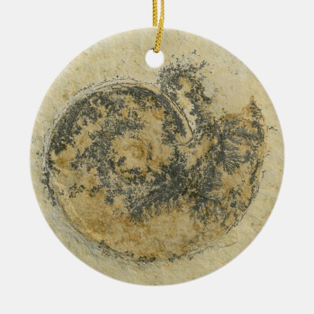 Décoration En Céramique Ammonite allemande avec Dendrites (Devant)