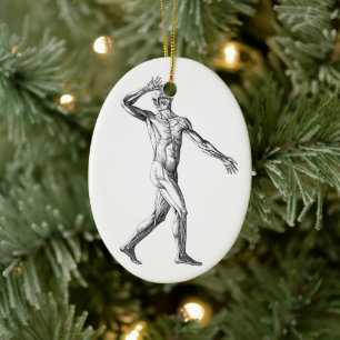 Décoration En Céramique Anatomie humaine vintage, Muscles du corps masculi