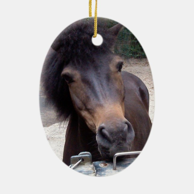 Décoration En Céramique Animal, Cheval, Pony (Dos)