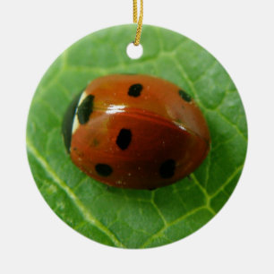 Décoration En Céramique Anniversaire personnalisé de Ladybug
