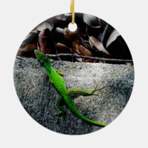 Décoration En Céramique Anole 6704