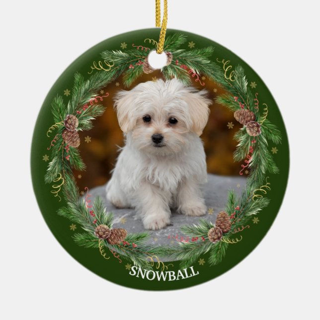 Décoration En Céramique Aquarelle Pinecone Wreath Pet Photo (Devant)