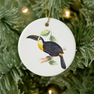 Décoration En Céramique Arbre toucan