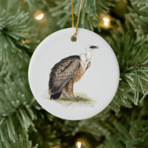 Arbre vautour Griffon
