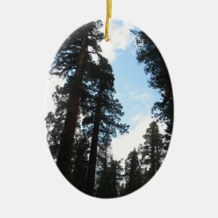 Décoration En Céramique Arbres de Yosemite