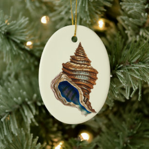 Décoration En Céramique Art nautique vintage George Shaw Coquille conch bl