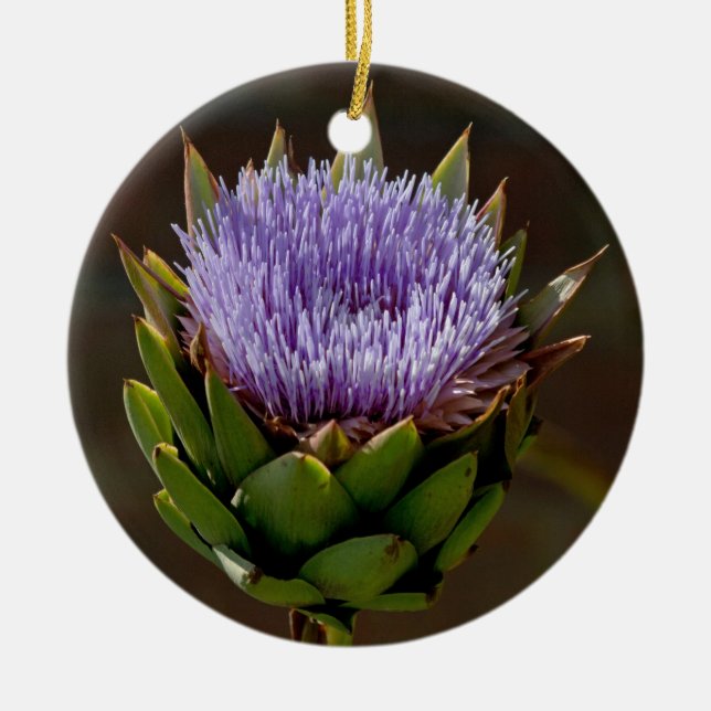 Décoration En Céramique Artichaut, Cynara Cardunculus, en fleur (Devant)